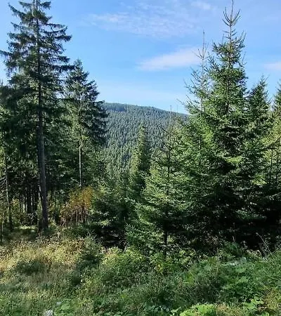 Gemutliche Ferienwohnung Mit Bergblick , Bei Oberwiesenthal, Im Herzen Des Erzgebirges Apartment