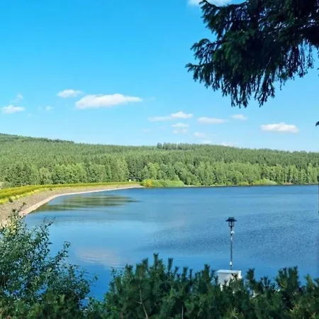 Gemutliche Ferienwohnung Mit Bergblick , Bei Oberwiesenthal, Im Herzen Des Erzgebirges Apartment